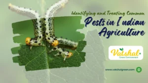 Common Pests in Agriculture